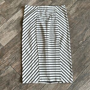 Striped Black and White Women's Skirt